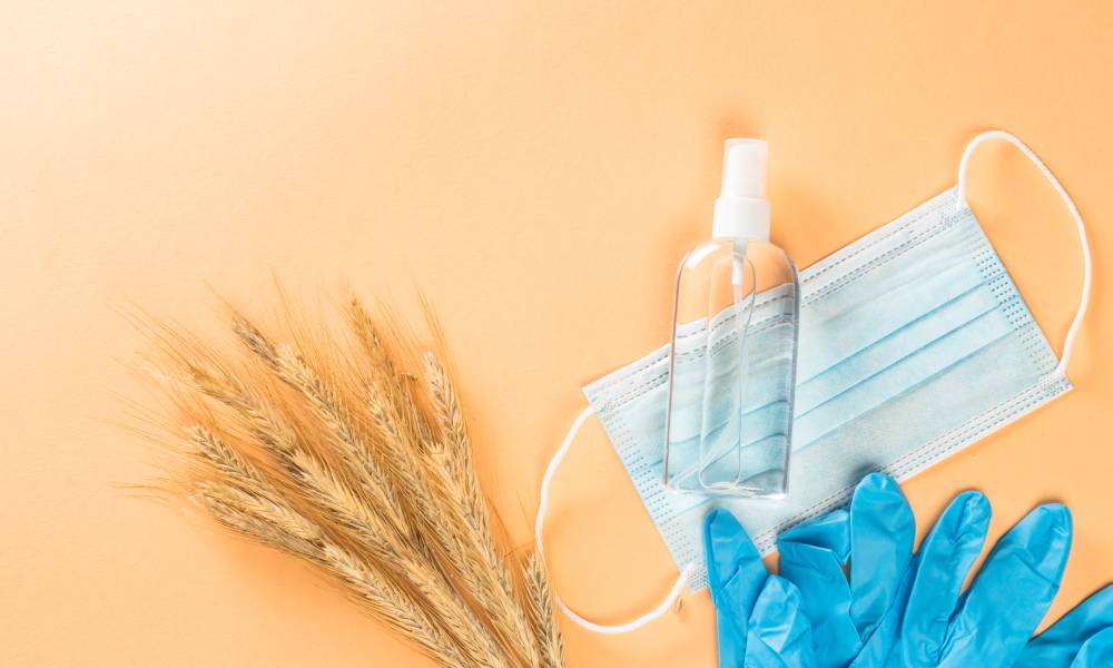 Where to Buy Wholesale Examination Gloves?